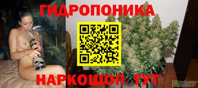 соль курить ск Гай