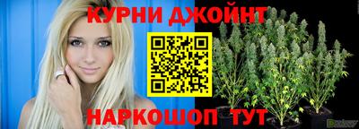 стаф Гагарин